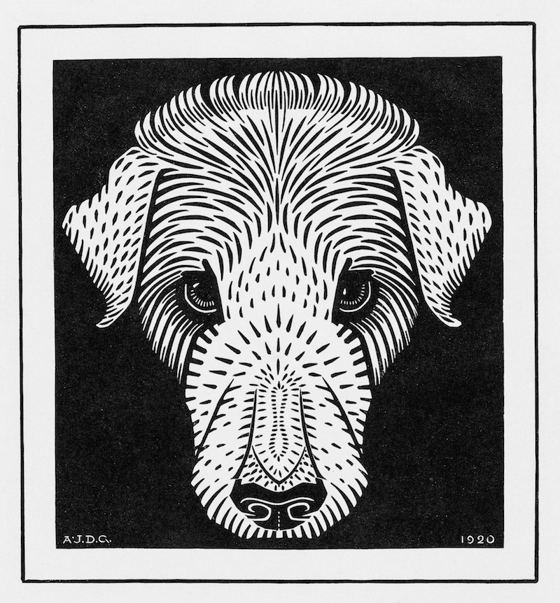 Tête de chien, gravure sur bois